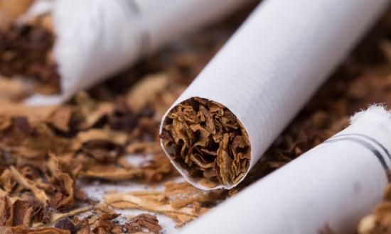 2024中国烟草制品行业全景调研分析