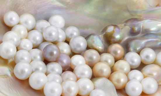 珍珠行业发展前景研究：珍珠价格翻倍 2022年我国淡水珍珠产值350亿元人民币