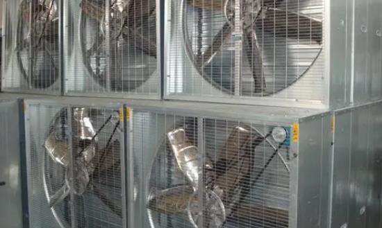 产业洞察2024：畜牧业节能风机产品将会迎来新一轮发展机遇