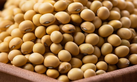 大豆浓缩蛋白行业市场分析及未来前景机遇