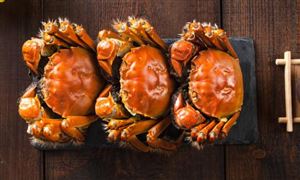 大闸蟹行业研究分析 2024大闸蟹市场现状及前景