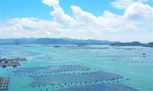 海洋牧场行业发展现状分析与目标：到2030年中国的海洋牧场总产量将达到1400万吨