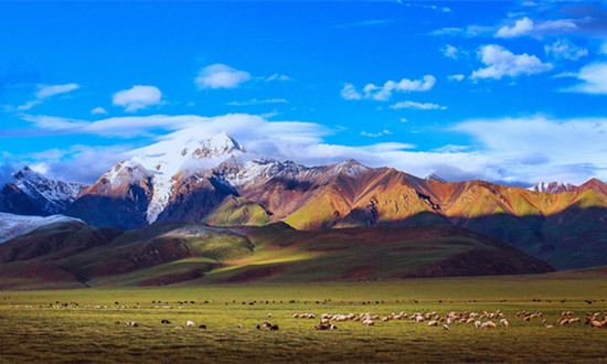 企业财报分析：携程2023年第三季度营收137亿元，同比增长99%