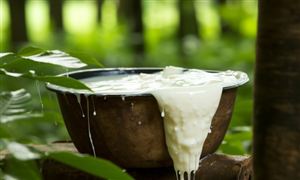 2023年中国橡胶行业发展趋势和前景