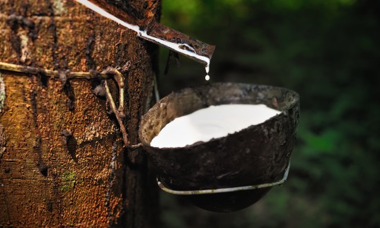 2023年国内天然橡胶行业发展现状及趋势分析