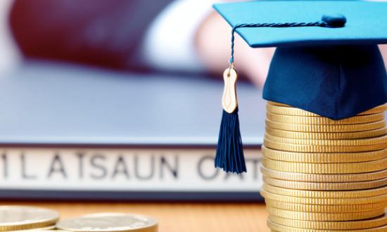 中国智慧招商行业市场深度分析2024