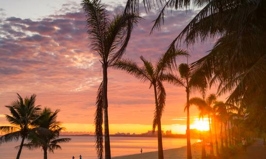 今年旅游出行需求持续升温 各在线旅游平台业绩大增
