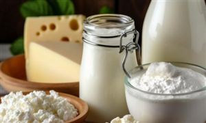 奶制品的现状及发展态势分析2024