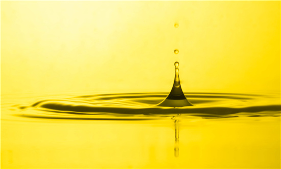 油茶产业发展三年行动开局良好 2024年油茶有望迎来大丰收