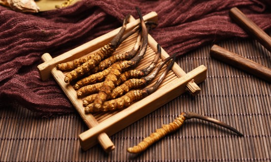 2023年中国冬虫夏草未来发展趋势分析