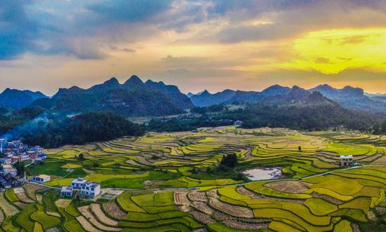 乡村产业振兴行业分析 未来乡村产业发展空间广阔、潜力巨大、大有可为