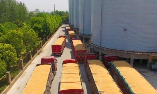 2024粮食物流产业发展报告：粮仓新建和改建迎来新一轮投资周期