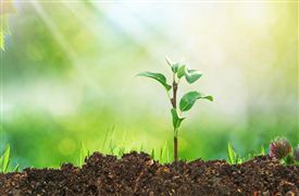 2023绿色信贷还有进一步增量提质的空间