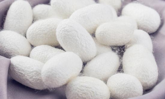 2024中国粘胶纤维市场深度全景调研分析