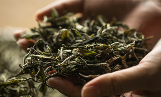 白茶行业市场供需及未来发展趋势分析