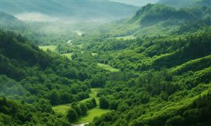 2023森林防火行业未来发展方向及趋势预测