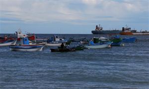 今年前三季度海洋生产总值7.2万亿元 同比增长5.8%  海洋渔业市场分析