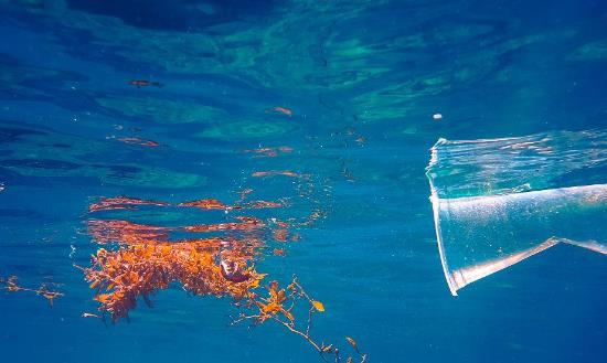 2024海洋环境监测行业发展现状及趋势：推动海洋生态环境高水平保护