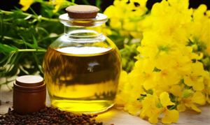 菜籽油行业市场发展现状分析