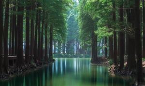 2023年中国水资源生态修复行业发展调研报告