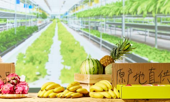 2023农产品电商行业发展现状深度分析