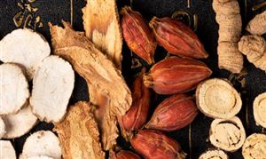 中药材产业前端发展前景可观  市场规模增长迅速