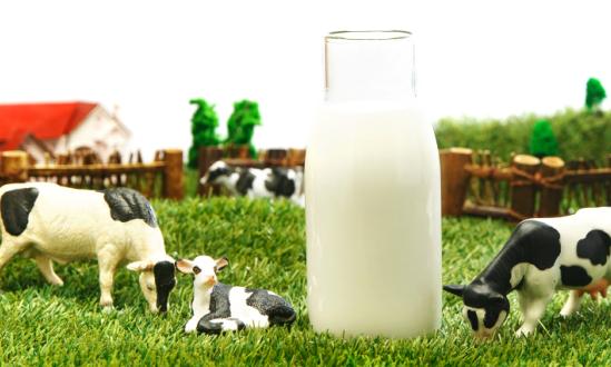 乳业整个行业的营收也将保持增长  但利润会呈现增长放缓的趋势