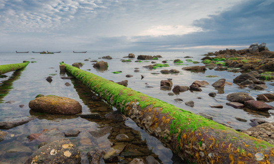 污水治理行业市场发展环境及未来前景分析2024