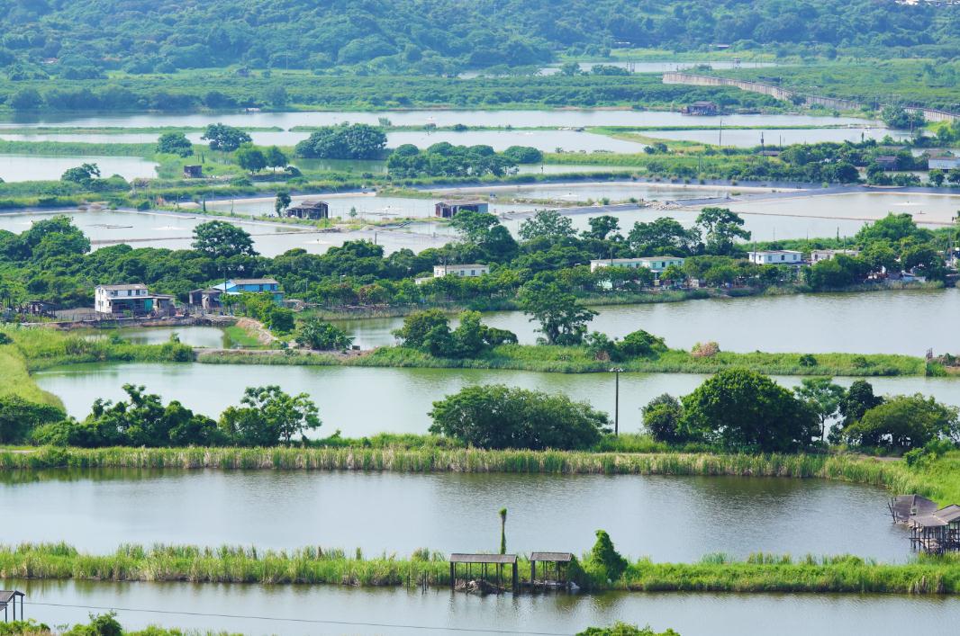 中国水资源利用行业市场深度分析 再生水循环利用试点实施方案