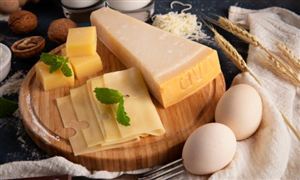 奶酪行业深度分析 预计2023年国内奶酪需求量有望达到33.19万吨