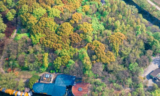 我国植物园产业现状分析及未来发展趋势