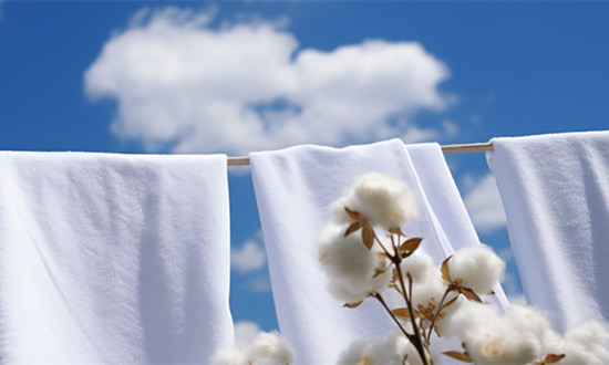 功能纤维行业发展概况及未来趋势研究分析