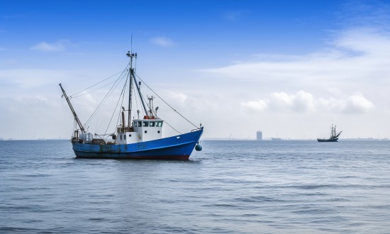 2023年中国渔船行业发展现状及趋势