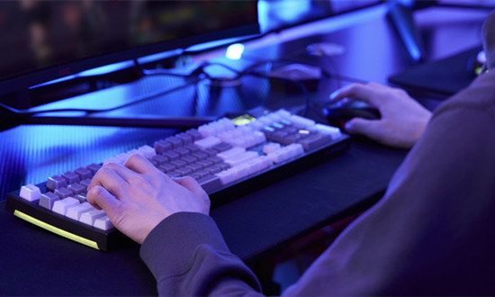 电脑游戏周边产品行业发展现状及前景研究2024