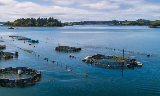 海洋环境检测行业政策环境：新修订的海洋环境保护法将于2024年元旦起施行