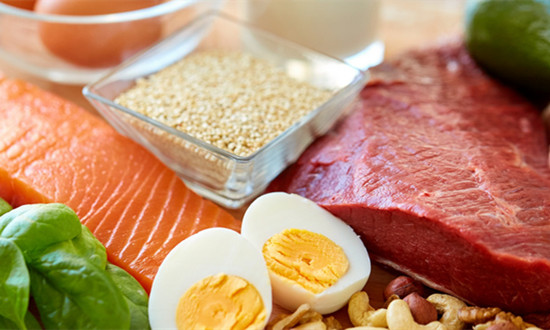 蛋白质行业市场需求及未来投资前景分析2024