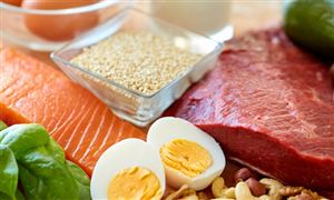 蛋白质行业市场需求及未来投资前景分析2024