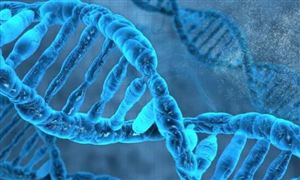 2024基因测序行业现状及市场空间：FDA批准首款CRISPR基因编辑疗法