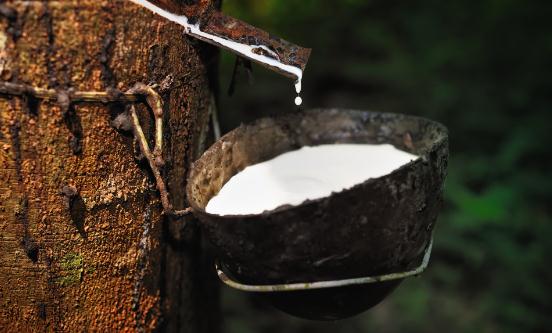 财政部：实施天然橡胶综合保险政策 2023天然橡胶行业发展状况