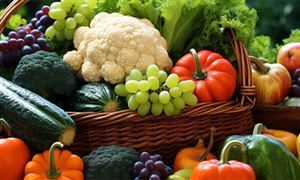 0.2元一斤 冬天离不开的它 真正的白菜价 蔬菜行业市场深度调研