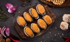 鲍鱼降价鲍了一只价格 鲍鱼行业市场发展现状分析