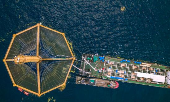 2024海洋新能源行业深度调研：海洋油气与新能源融合发展将成为热点方向