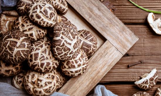 2024蘑菇行业分析及行业发展趋势报告