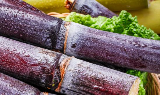 我国甘蔗产业市场调研及市场规模预测分析