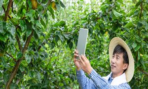 直销行业市场规模及投资潜力深度调研分析2024