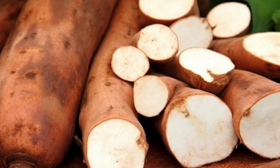 我国木薯产业概况：木薯食用加工基本无污染、工艺简单、产值利润更高