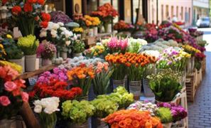 卖爆了 价格水涨船高 这种花成抢手货 鲜切花行业未来发展趋势