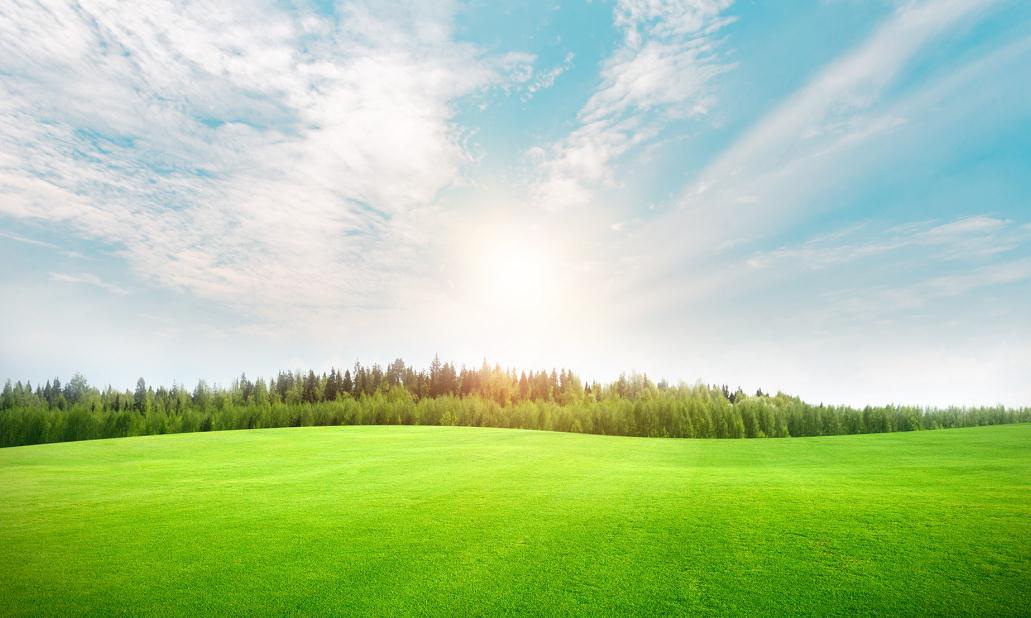 我国化肥市场供应总体充足 中国新型肥料行业发展趋势分析