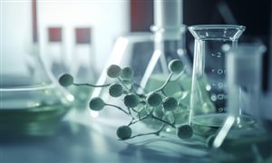 碳酸锂行业分析调研 碳酸锂期货价格最新行情分析