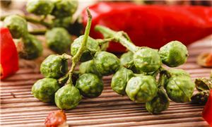 青花椒行业调研 青花椒行业发展趋势及市场现状分析